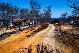 Κηδεία, αϋπνία αλλά και ανοικοδόμηση και… ζωή