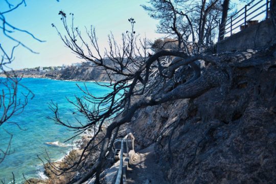 Στην γ.γ. Πολιτικής Προστασίας η λίστα των θυμάτων