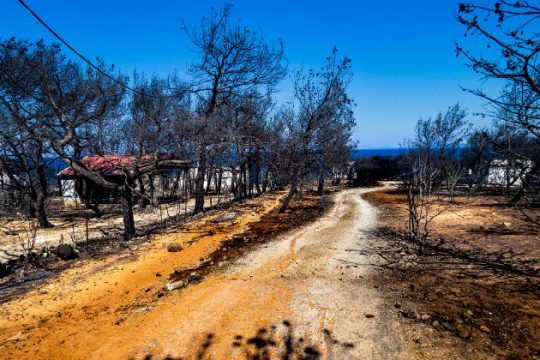 Στην Εισαγγελία η δικογραφία της πυροσβεστικής