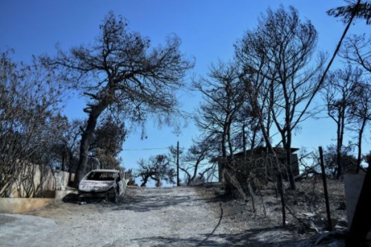 Ένας μήνας μετά: τα μέτρα για τους πυρόπληκτους