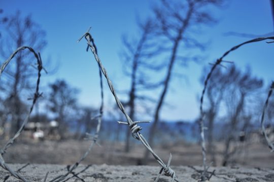 Από το «Μικρό σπίτι στο λιβάδι» στο «Ντάλας»