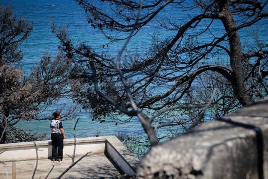 Μετά την καταστροφή, τι;