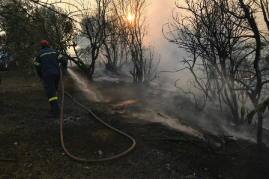 Στάχτη χιλιάδες στρέμματα από τη φωτιά στην Εύβοια