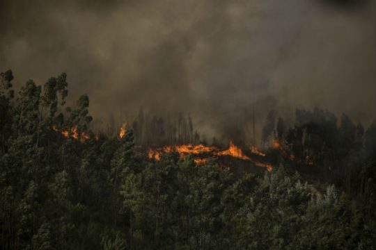 Συνεχίζεται με αμείωτη ορμή η μεγάλη πυρκαγιά στην Πορτογαλία
