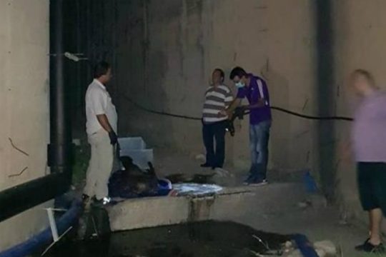 Ηράκλειο: Εντοπίστηκε πτώμα κάτω από γέφυρα