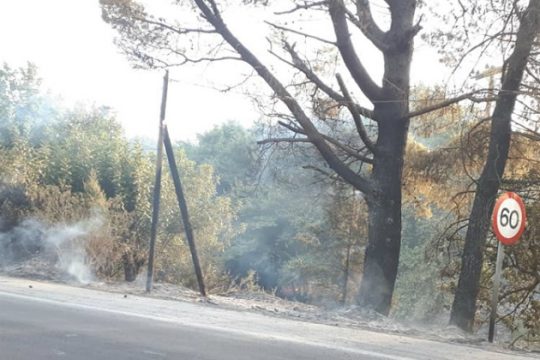 Το ΙΤΕ χαρτογράφησε τις καμένες εκτάσεις στην Κρήτη