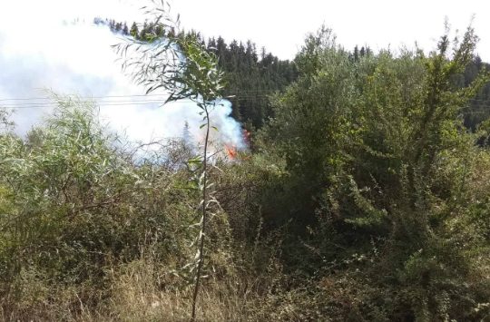 Αυξημένος κίνδυνος πυρκαγιάς για το Σάββατο σε όλη την Κρήτη