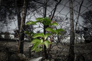 Πλήρης και διεξοδικός έλεγχος για την πυρκαγιά στο Μάτι