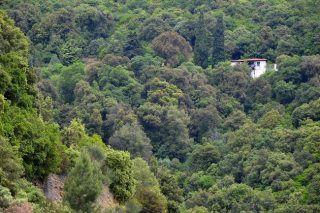 10 πληροφορίες που πιθανόν να μη γνωρίζουμε για τα δάση