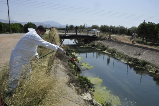 «Να αδειοδοτηθούν νέα φάρμακα για ψεκασμούς»