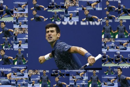 This is Nole!