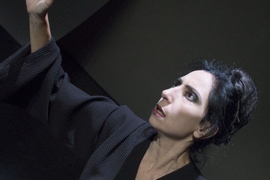 «Hcuba/Εκάβη» από το Στάνφορντ στην Αθήνα