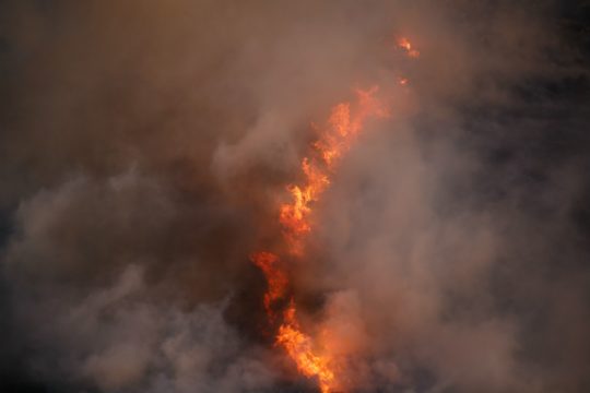 Οριοθετήθηκε η πυρκαγιά στην Ηλεία