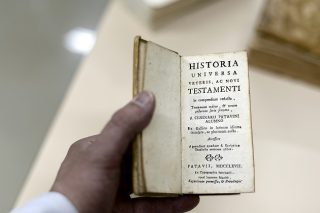 Η βασίλισσα αγαπά τα τριαντάφυλλα