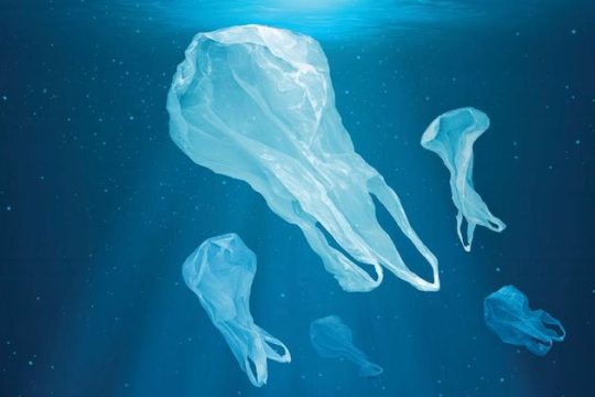 Η ανθρωπογενής υποβάθμιση της Βιόσφαιρας