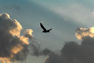 Ο θάνατος του Νότη
