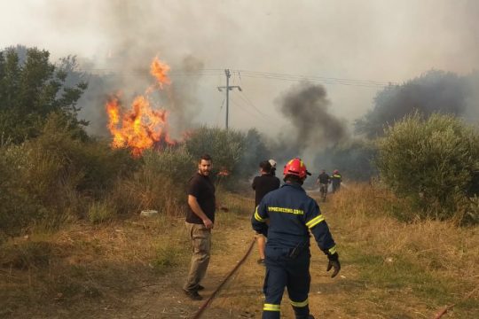 Εκτός κινδύνου ο οικισμός Λέτρινα από τη φωτιά στην Ηλεία