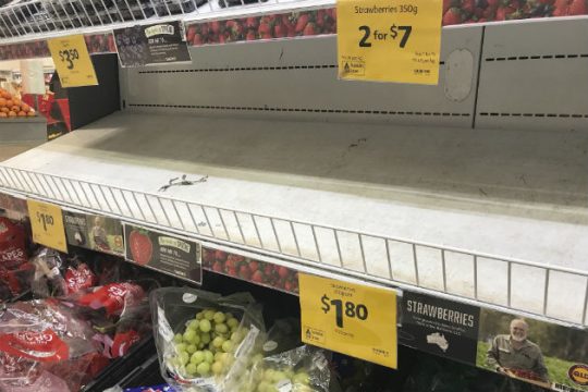 Οι φράουλες που… τσιμπάνε