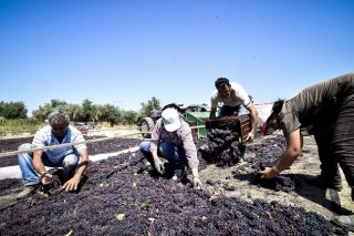 Η προφορικότητα και οι αγρότες
