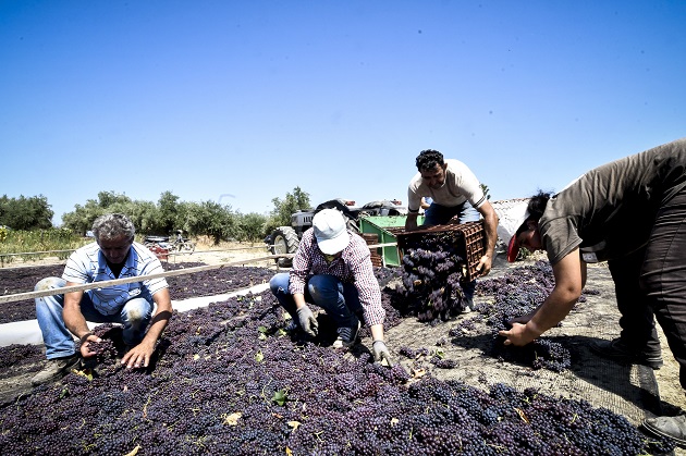 Η προφορικότητα και οι αγρότες