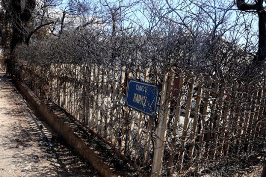 Τους πληγέντες της φονικής φωτιάς καλεί εισαγγελέας του Αρείου Πάγου