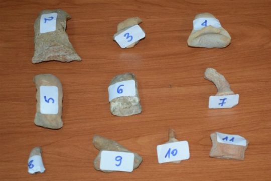 Την Τρίτη απολογείται ο Ηρακλειώτης για το κύκλωμα αρχαιοκαπηλίας