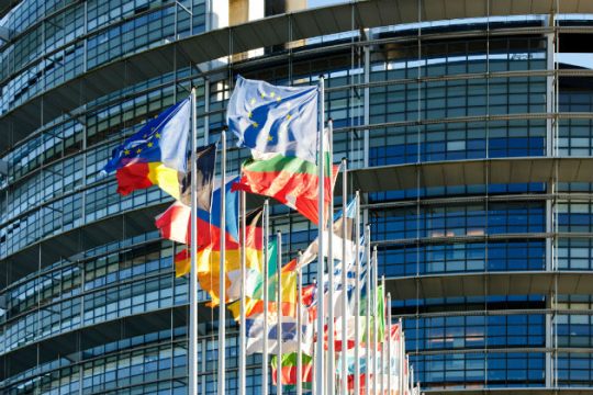 Έκκληση ευρωβουλευτών για απελευθέρωση των εθελοντών Μαρντινί και Μπάιντερ