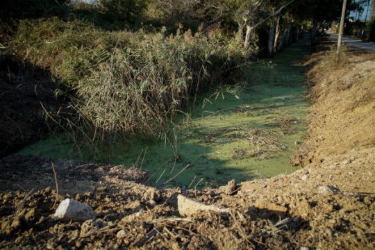 Πού οδηγούν οι έρευνες για το ανθρώπινο κρανίο στην Πρέβεζα
