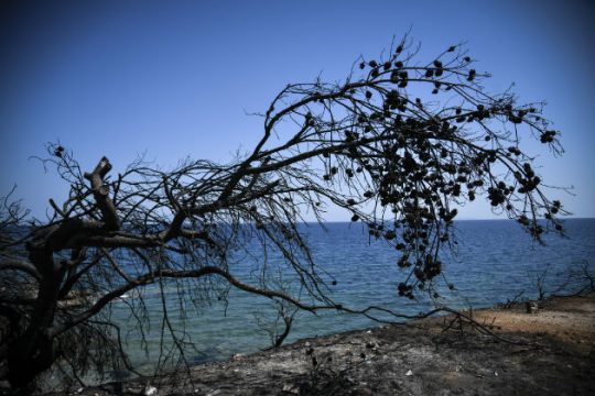 Ταχεία διαδικασία για την αποκατάσταση πυρόπληκτων κατοικιών