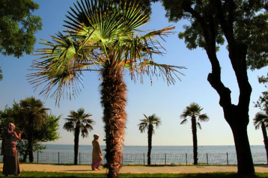 Η σημερινή κατάσταση στη Μέση Ανατολή