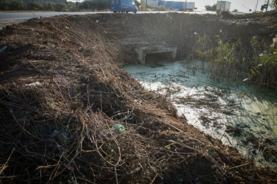 Η εξέταση DNA του κρανίου «έδειξε» την Αγγελική Πεπόνη