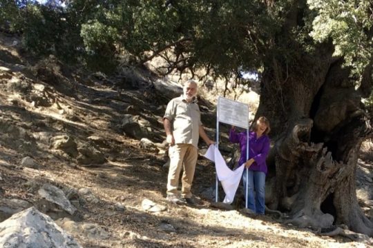 Μικρό Οδοιπορικό στο Σελάκανο