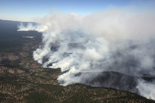Κρήτη: 15.000 καμένα στρέμματα το 2018