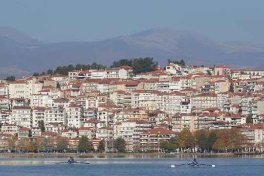 «Γαλάζια» τσεκούρια για μια υπόθεση λαθροϋλοτομίας