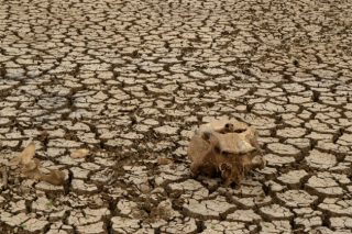 Ο καπιταλισμός, όχι η «ανθρωπότητα»