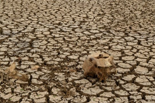 Ο καπιταλισμός, όχι η «ανθρωπότητα»