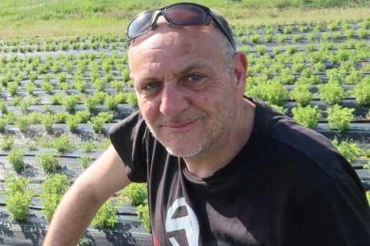 Ο πρωτογενής τομέας καλά κρατεί