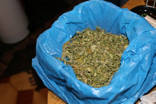 Πωλούσαν διαδικτυακά παράγωγα κάνναβης χωρίς την έγκριση του ΕΟΦ