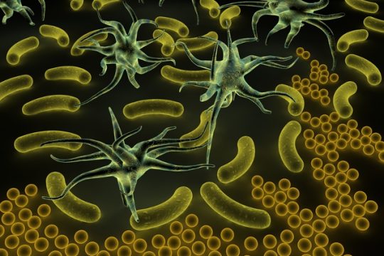 70.000 κινδυνεύουν στην Ελλάδα από μικρόβια ανθεκτικά στα αντιβιοτικά