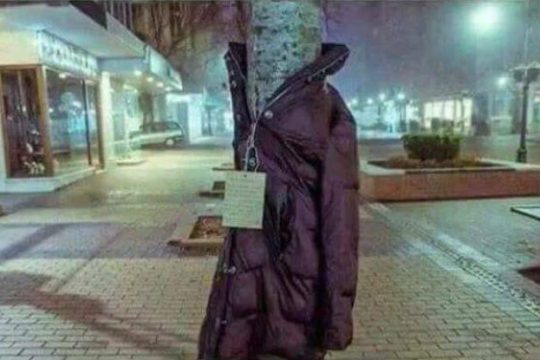 Στη Λάρισα «ντύνουν» τα δέντρα για καλό σκοπό