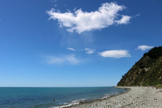 Έσωσε μωρό μέσα απ’ τη θάλασσα, που το πέρασε για κούκλα