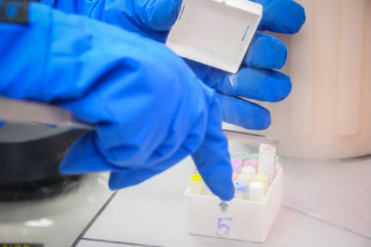 Καύσωνες και κλιματική αλλαγή, κίνδυνος για την ανδρική γονιμότητα