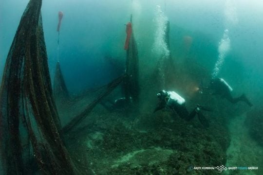 Μια αποικία ιππόκαμπων και δίχτυα «φαντάσματα» στο Στρατώνι!
