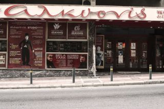 Γιατί πρέπει να σωθεί η «Αλκυονίδα»