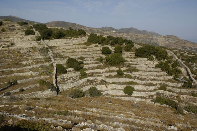 Αναβάθμιση των αναβαθμίδων