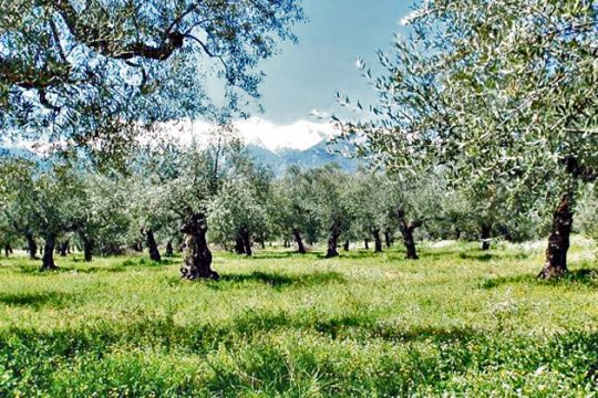 Αποκατάσταση αδικίας για τους βιοκαλλιεργητές