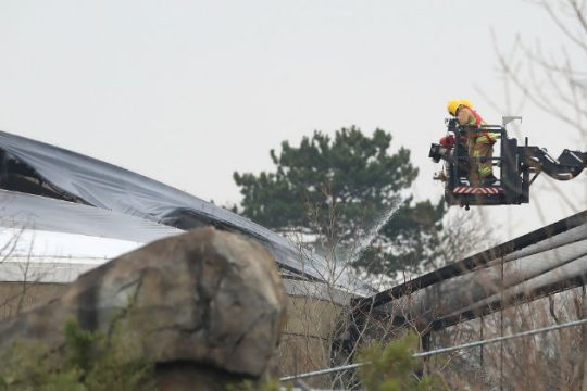 Ασφαλή τα ζώα στον ζωολογικό κήπο της βόρειας Αγγλίας