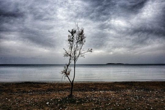 Πεζογραφία vs ποίηση, ή και κάτι παραπάνω;