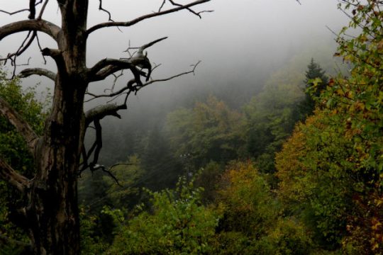 Το Κλειδί στην Ποταμιά Ευρυτανίας