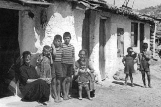 Αριστεία και υπογεννητικότητα